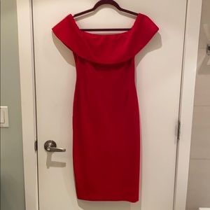Aritzia Babaton Ruslan Dress